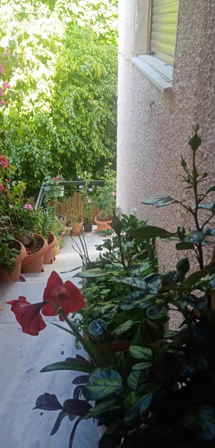 Aegina'S Flowers House Exterior foto