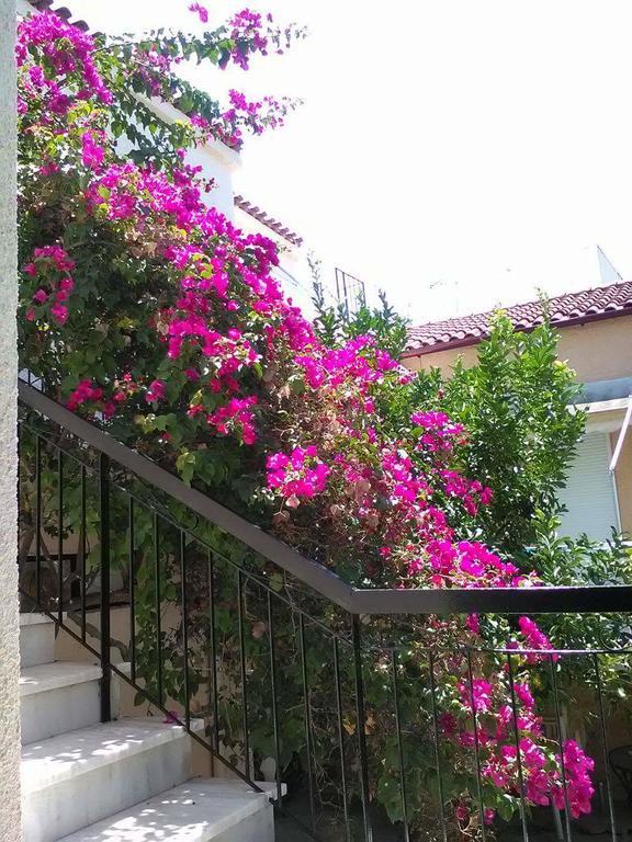 Aegina'S Flowers House Exterior foto