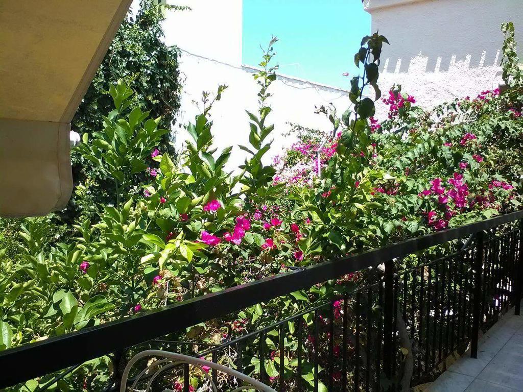 Aegina'S Flowers House Exterior foto