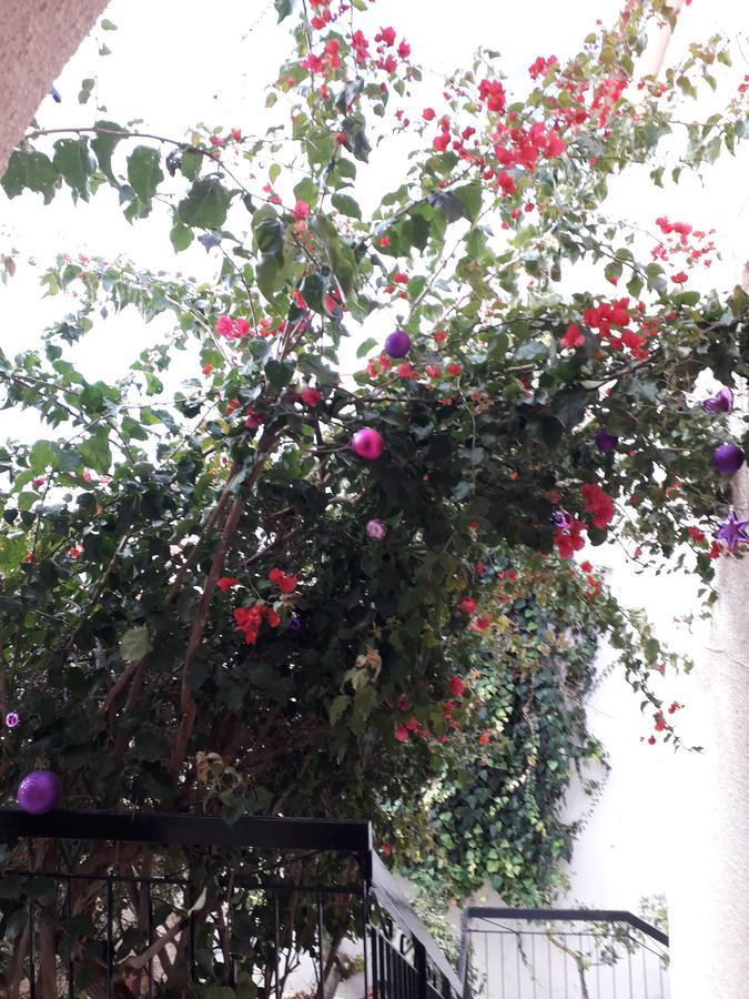 Aegina'S Flowers House Exterior foto