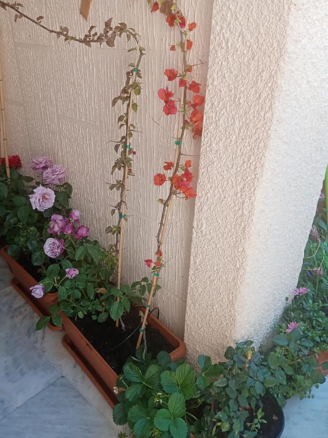 Aegina'S Flowers House Exterior foto